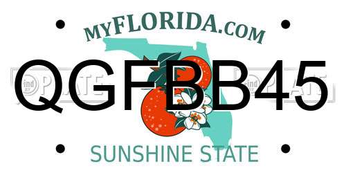 QGFBB45 Florida License Plate