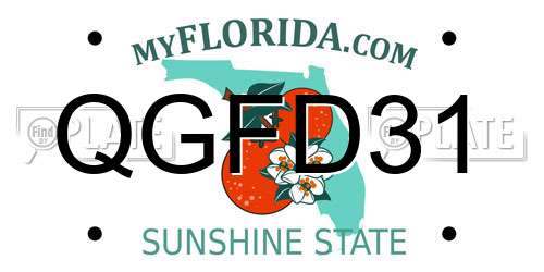 QGFD31 Florida License Plate