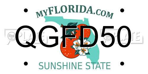 QGFD50 Florida License Plate