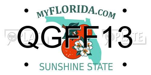QGFF13 Florida License Plate