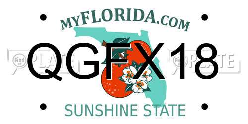 QGFX18 Florida License Plate