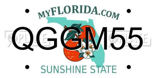 QGGM55 Florida License Plate