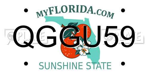 QGGU59 Florida License Plate