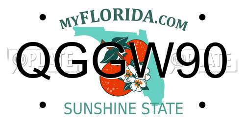 QGGW90 Florida License Plate