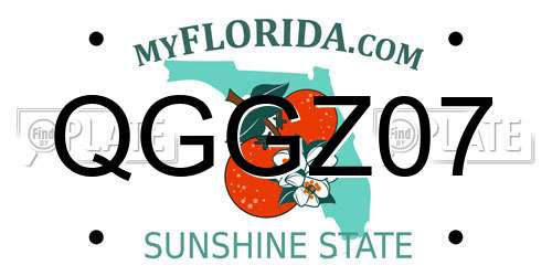 QGGZ07 Florida License Plate