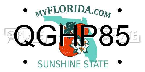QGHP85 Florida License Plate