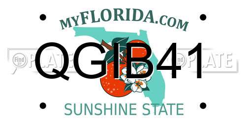 QGIB41 Florida License Plate