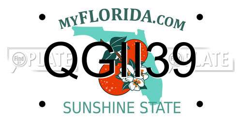 QGII39 Florida License Plate