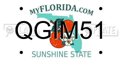 QGIM51 Florida License Plate