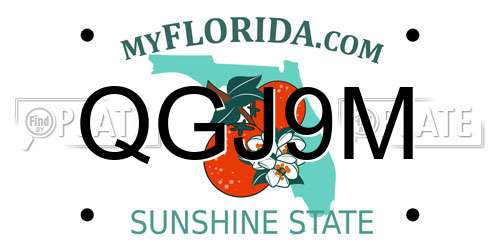 QGJ9M Florida License Plate