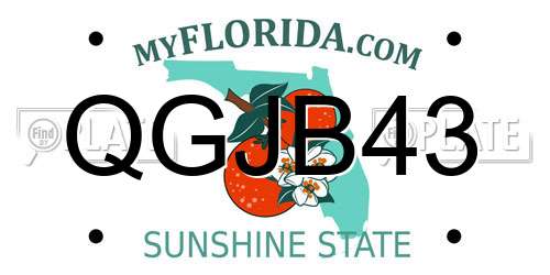 QGJB43 Florida License Plate