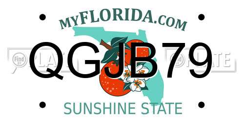 QGJB79 Florida License Plate
