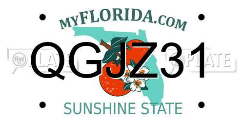 QGJZ31 Florida License Plate