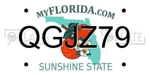 QGJZ79 Florida License Plate