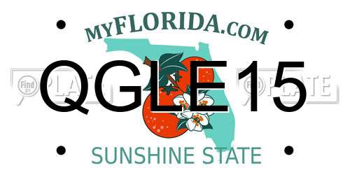 QGLE15 Florida License Plate