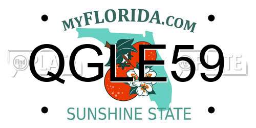 QGLE59 Florida License Plate