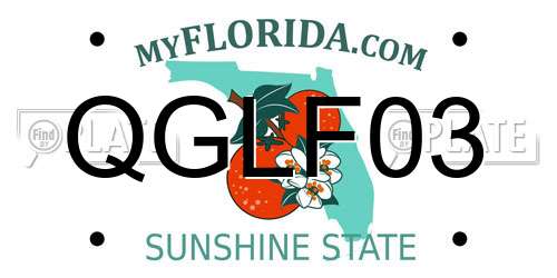 QGLF03 Florida License Plate