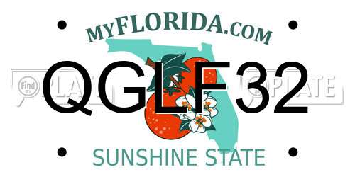 QGLF32 Florida License Plate
