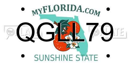 QGLL79 Florida License Plate