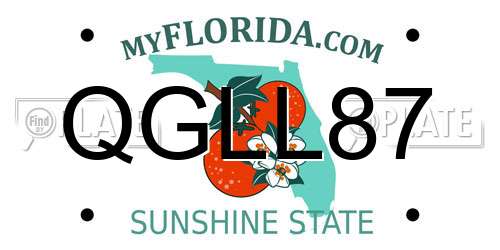 QGLL87 Florida License Plate