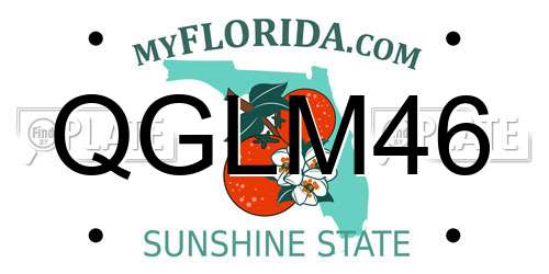 QGLM46 Florida License Plate