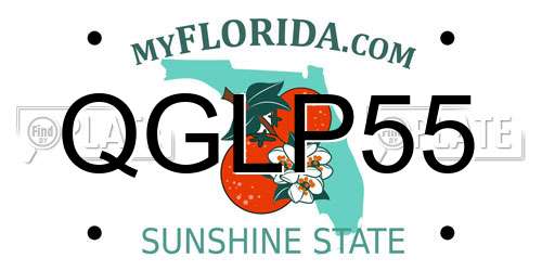 QGLP55 Florida License Plate