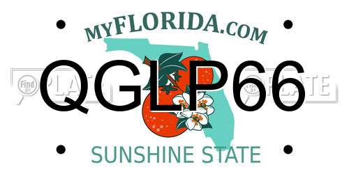 QGLP66 Florida License Plate