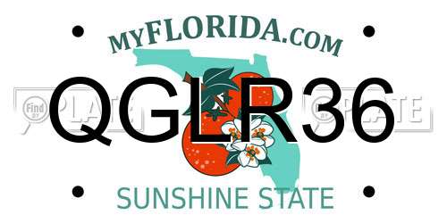 QGLR36 Florida License Plate