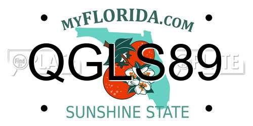 QGLS89 Florida License Plate