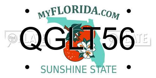 QGLT56 Florida License Plate