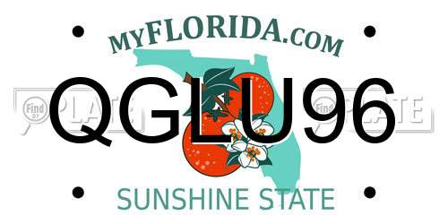 QGLU96 Florida License Plate