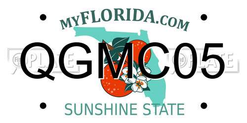 QGMC05 Florida License Plate