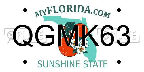 QGMK63 Florida License Plate