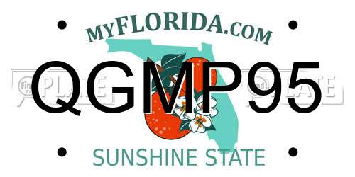 QGMP95 Florida License Plate