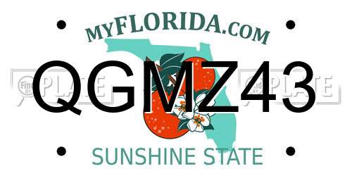 QGMZ43 Florida License Plate