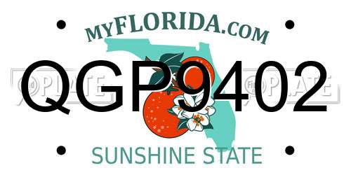 QGP9402 Florida License Plate