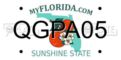 QGPA05 Florida License Plate
