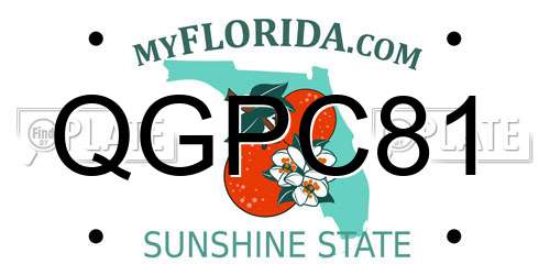 QGPC81 Florida License Plate