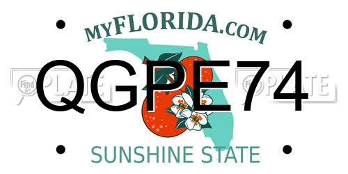 QGPE74 Florida License Plate