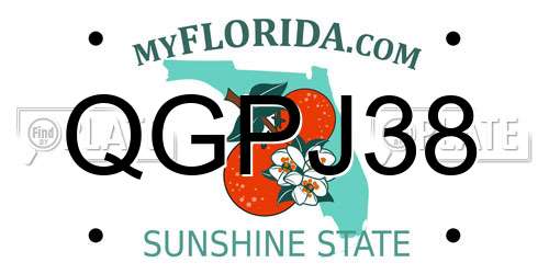 QGPJ38 Florida License Plate
