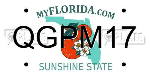QGPM17 Florida License Plate