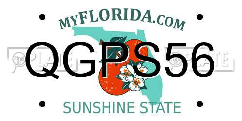 QGPS56 Florida License Plate
