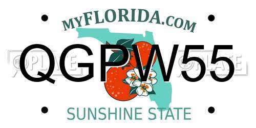 QGPW55 Florida License Plate