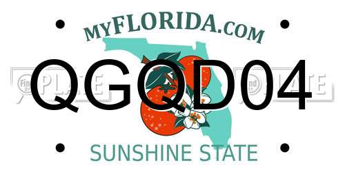 QGQD04 Florida License Plate