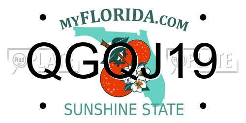 QGQJ19 Florida License Plate