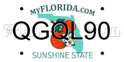 QGQL90 Florida License Plate