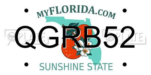 QGRB52 Florida License Plate