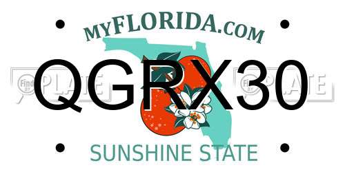 QGRX30 Florida License Plate
