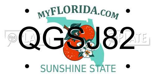 QGSJ82 Florida License Plate