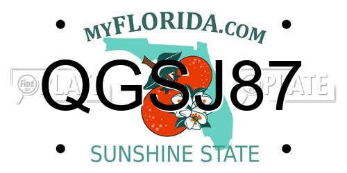 QGSJ87 Florida License Plate